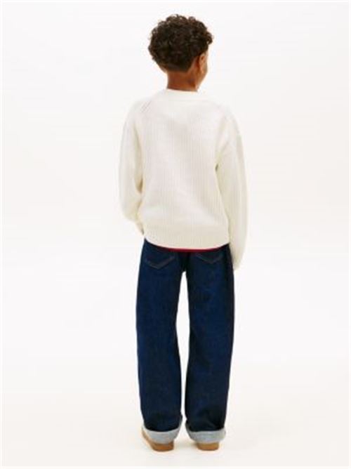  TOMMY HILFIGER | KB0KB10071J/YA8